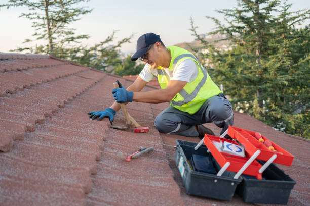 Best Roof Gutter Cleaning  in Oak Hill, WV